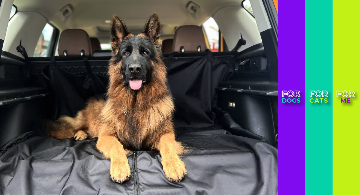 BANNER PRINCIPAL1 (1)