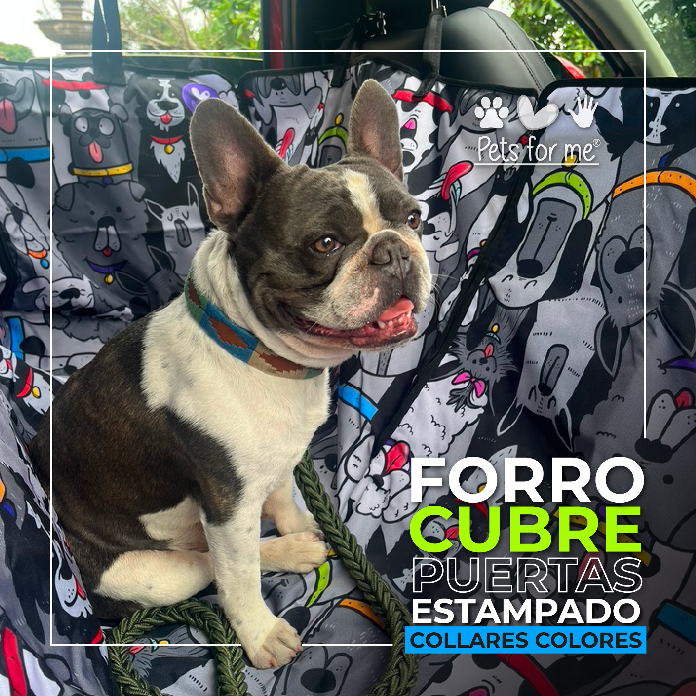 CATALOGO WPP BUSINESS COLECCION_Mesa de trabajo 1